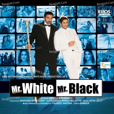 Mr. White Mr. Black - Shamir Tandon cover album