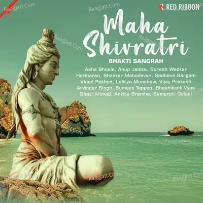 Mahashivratri - Bhakti Sangrah - Srinivasa Sarma cover album