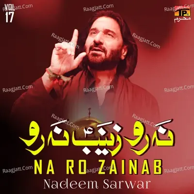 Na Ro Zainab, Vol. 17 - Nadeem Sarwar cover album