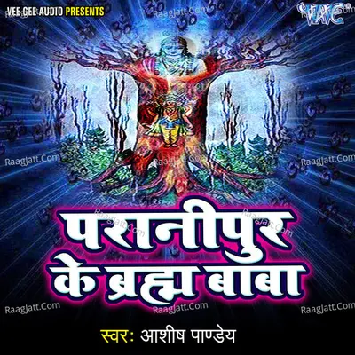 Paranipur Ke Baraham Baba - Aashish Pandey cover album