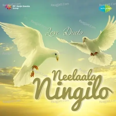 Neelaala Ningilo - Love Duets - V.B. Rajendra Prasad cover album