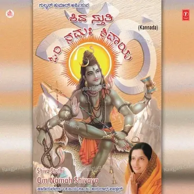 Shiva Stuthi-Om Namah Shivaya - Vijay Sai cover album