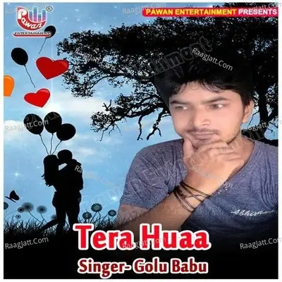 Tera Huaa - Golu Babu cover album