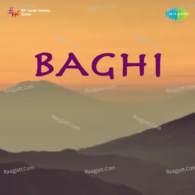 Baghi - Amirbai Karnataki cover album