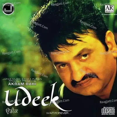 Udeek -  cover album