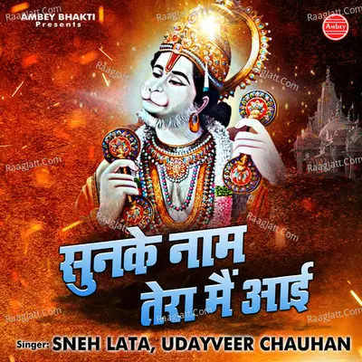 Sunke Naam Tera Main Aai - Udayveer Chauhan cover album