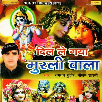 Dil Le Gaya Murli Wala -  cover album