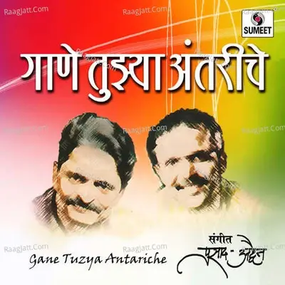 Gaane Tujhya Antariche - Prasad Adwait cover album