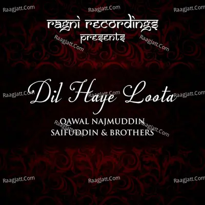 Dil Haye Loota - Qawal Najmuddin Saifuddin And Brothers cover album