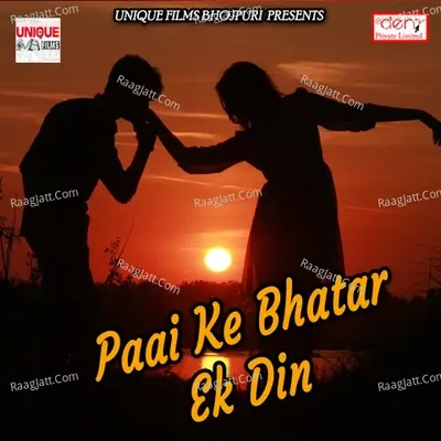 Paai Ke Bhatar Ek Din - Vaibhav Nishant cover album