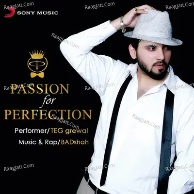 Passion for Perfection - Teg Grewal cover album