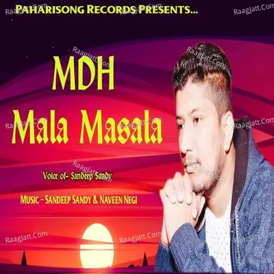 Mdh Mala Masala - Sandeep Sandy cover album