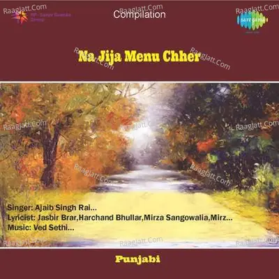 Na Jija Menu Chher - Gurdev Kaur cover album