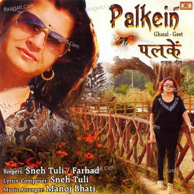 Palkein - Sneh Tuli cover album