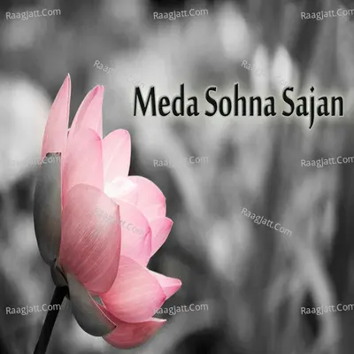 Meda Sohna Sajan - Faheem Tariq cover album