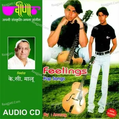 Feelings - Hindi Pop - Vijay Singh cover album