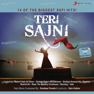 Teri Sajni - Sandeep Chowta cover album