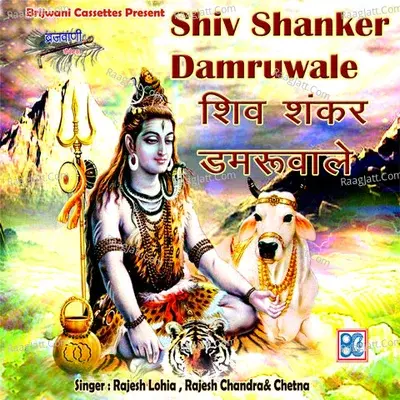 Shiv Shanker Damruwale - Rajesh Chandra cover album