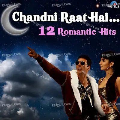 Chandni Raat Hai - 12 Romantic Hits - Anu Malik cover album