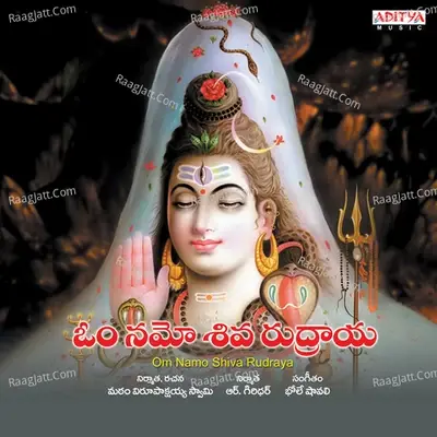 Om Namo Shiva Rudraya - V.Rama Krishna cover album