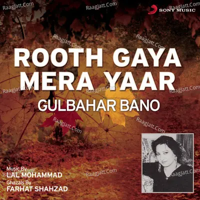 Rooth Gaya Mera Yaar - Gulbahar Bano cover album