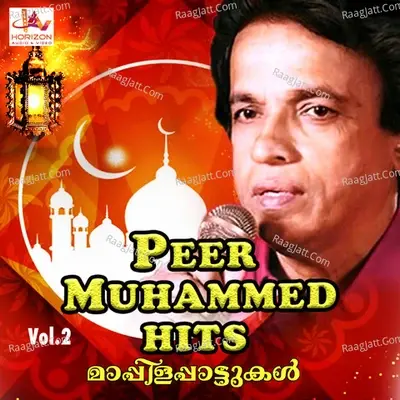 Peer Muhammed Hits, Vol. 2 - Peer Muhammed cover album