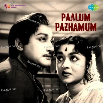 Paalum Pazhamum - Viswanathan Ramamoorthy cover album