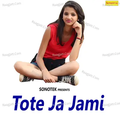 Tote Ja Jami - Max Studio cover album