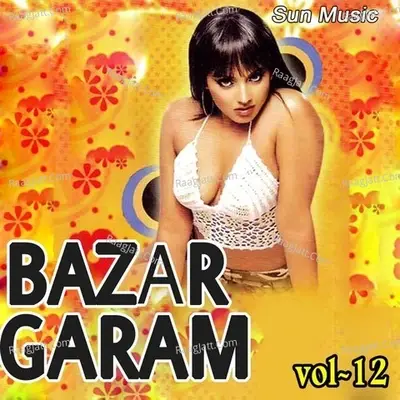 Bazar Garam Vol-12 - Badri cover album