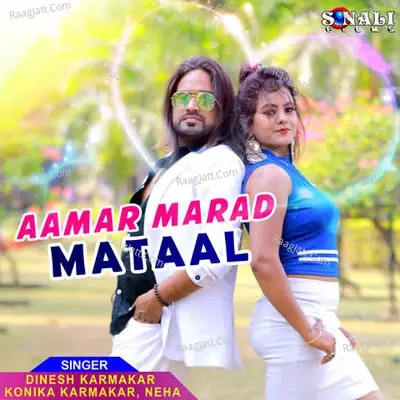 Aamar Marad Mataal - Dinesh Karmakar cover album