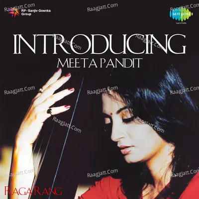 Introducing Meeta Pandit Raga Rang - Vasundhara Komkali cover album