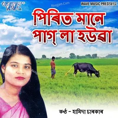 Pirit Mane Pagla Hauwa -  cover album