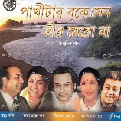 Pakhitar Buke Jeno Tir Mero Na - Satinath Mukhopadhyay cover album