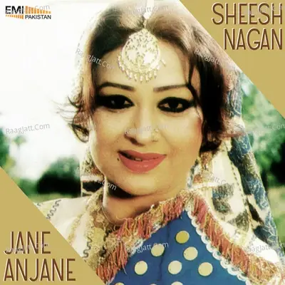 Sheesh Nagan / Jane Anjane - Mehnaz cover album