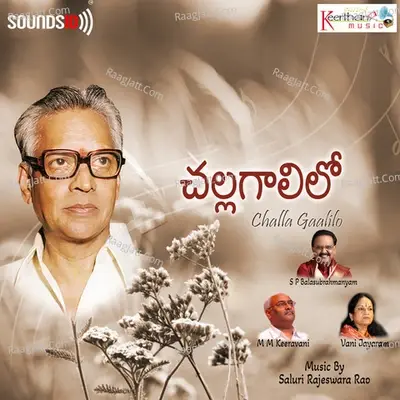 Challa Gaalilo - S. Rajeswara Rao cover album