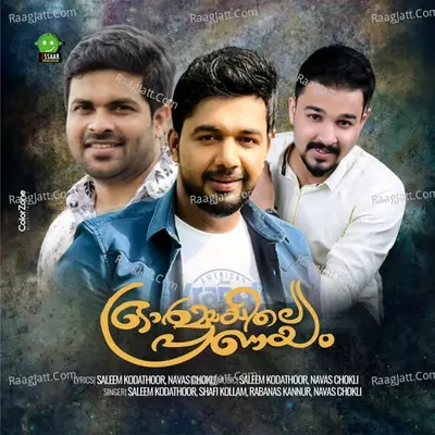 Ormayile Pranayam - Saleem Kodathoor cover album