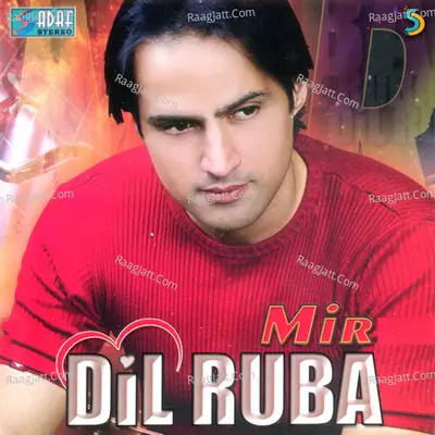 Dil Ruba - Mir cover album