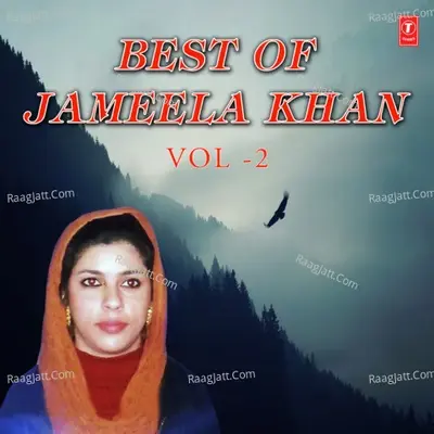 Best Of Jameela Khan Vol-2 - Jameela Khan cover album