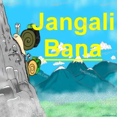 Jangali Bana - Vinay Rajwade cover album