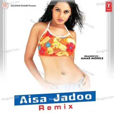 Aisa Jadoo Remix - Anand Raj Anand cover album