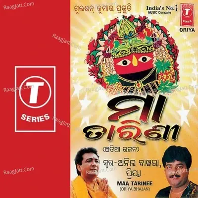 Maa Tarinee - Anil Bawra cover album