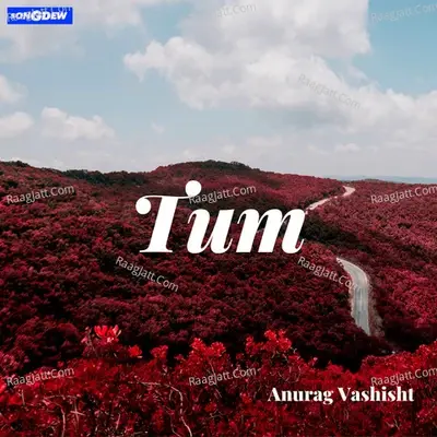 Tum - Anurag Vashisht cover album