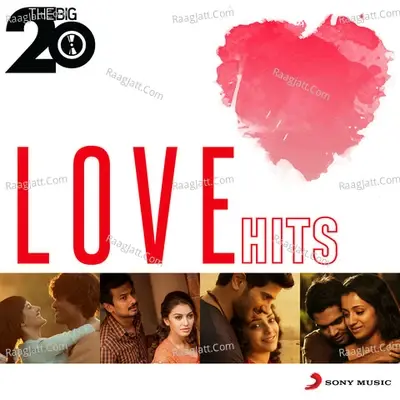 The Big 20 (Love Hits) - Various Artist cover album