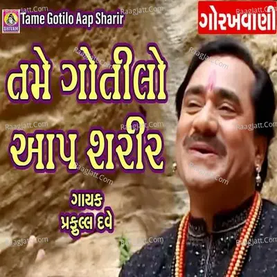 Tame Gotilo Aap Sharir - Praful  Dave cover album