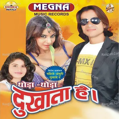 Thoda Thoda Dukhata Hai - Shailesh Sanwariya cover album