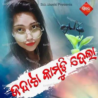 Jandata Kamudi Dela - Bibhuti Bhusana cover album