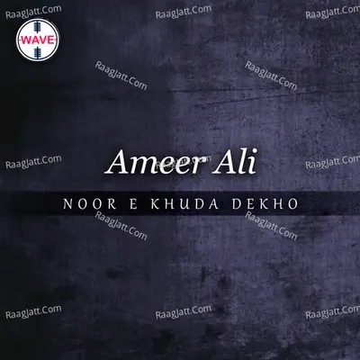 Noor E Khuda Dekho - Ameer Ali cover album