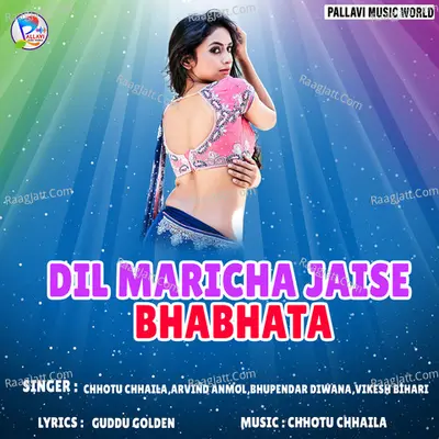 Dil Maricha Jaise Bhabhata -  cover album