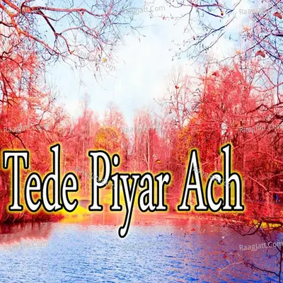 Tede Piyar Ach - Bilal Hussain Bilal cover album