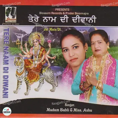 Tere Naam Di Diwani - Madam Babali cover album